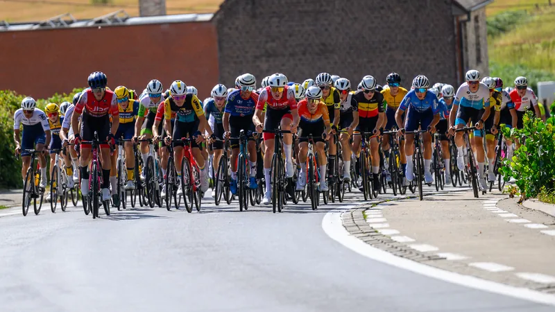 West-Vlaanderen Cycling Tour, photograph 2 of 7